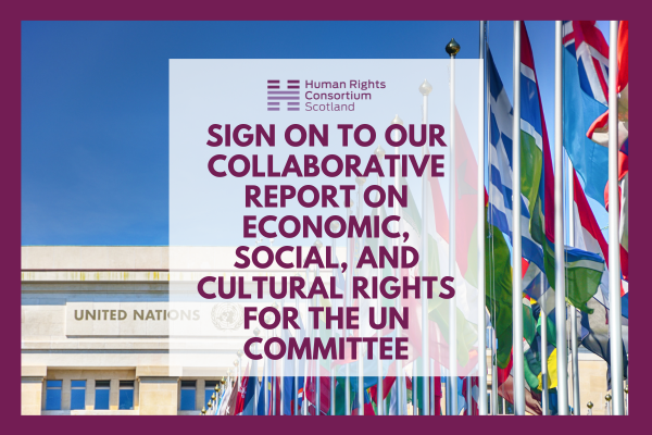 sign on to our Collaborative Report on Economic, Social, and Cultural Rights for the UN Committee.