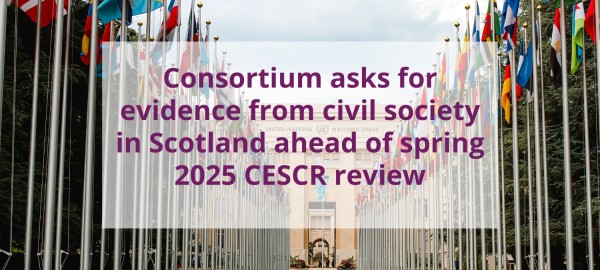 Evidence for the UN Committee on Economic, Social and Cultural Rights
